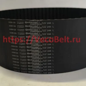 244 L synchrobelt contitech