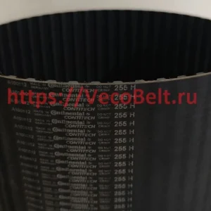 255 H synchrobelt contitech