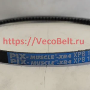 xpb 1060 pix-muscle-xr4