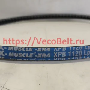 xpb 1120 pix-muscle-xr4