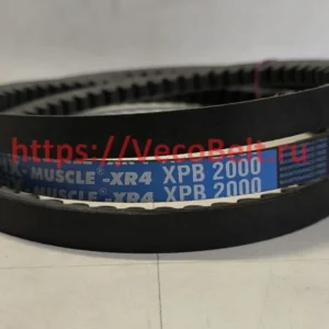 xpb 2000 pix-muscle-xr4