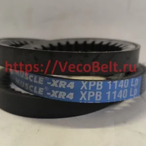 xpb1140 pix muscle-xr4