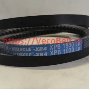xpb 1930 pix muscle-xr4