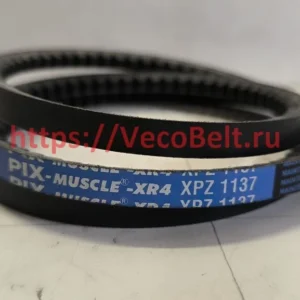 xpz 1137 pix-muscle-xr4