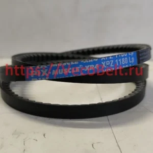 xpz 1180 pix-muscle-xr4