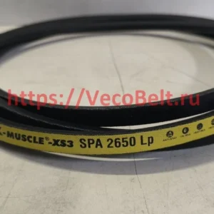 spa 2650 pix muscle xs3