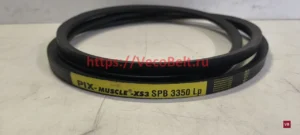 spb 3350 pix muscle xs3
