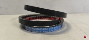 xpa 1157 pix muscle xr4