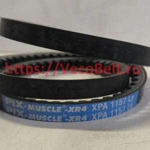 xpa 1157 pix muscle xr4