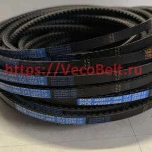 xpz 2030 pix muscle xr4