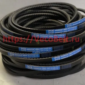 xpz 2120 pix muscle xr4