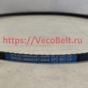 xpz 987 pix muscle xr4