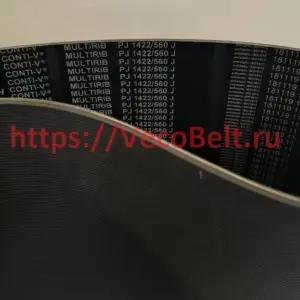 pj 1422 560 j conti multirib