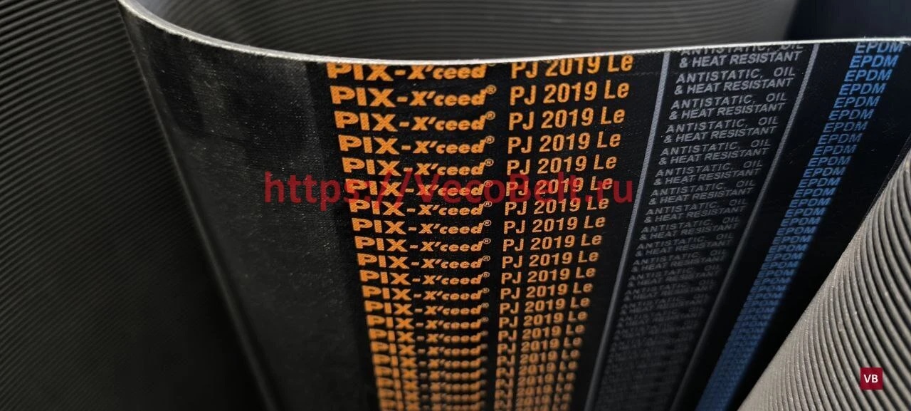 pj 2019 pix-x'ceed