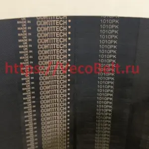 pk 1010 contitech multirib