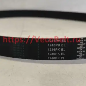 pk 1246 contitech multirib