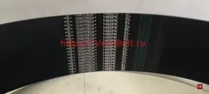 pk 1460 contitech multirib