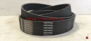 pk 1557 contitech multirib