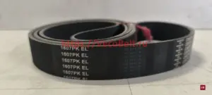 pk 1607 contitech multirib