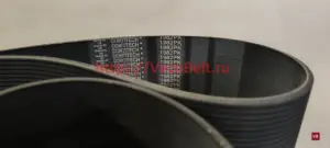 pk 1982 contitech multirib