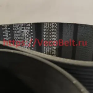 pk 1982 contitech multirib