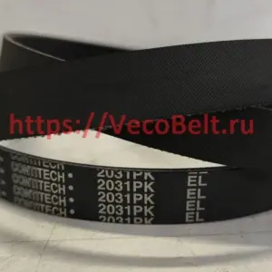 pk 2031 contitech multirib