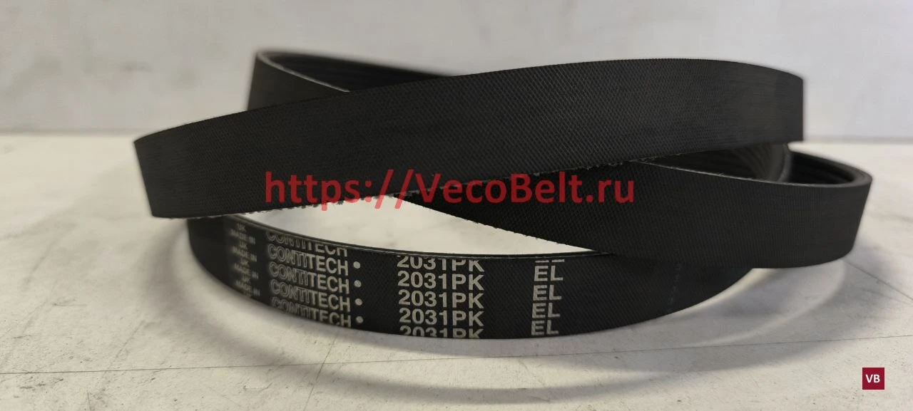 pk 2031 contitech multirib