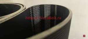 pk 2550 contitech multirib