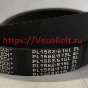 pl 1562 / 615 l conti-v multirib