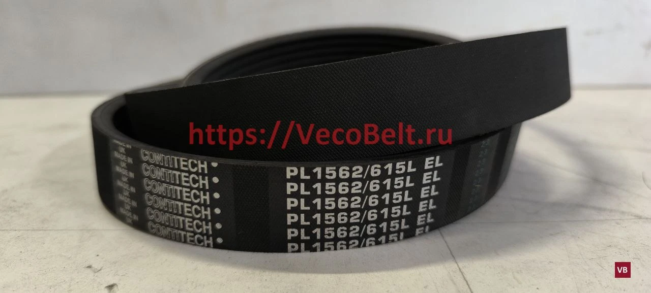 pl 1562 / 615 l conti-v multirib