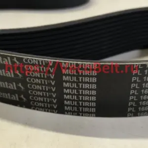 pl 1664 / 655 l conti-v multirib