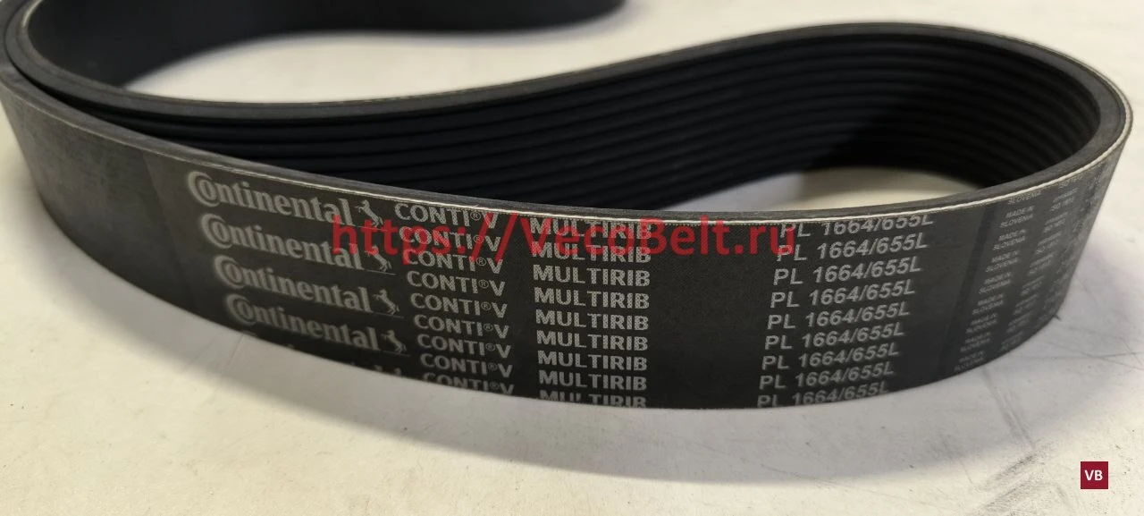 pl 1664 / 655 l conti-v multirib