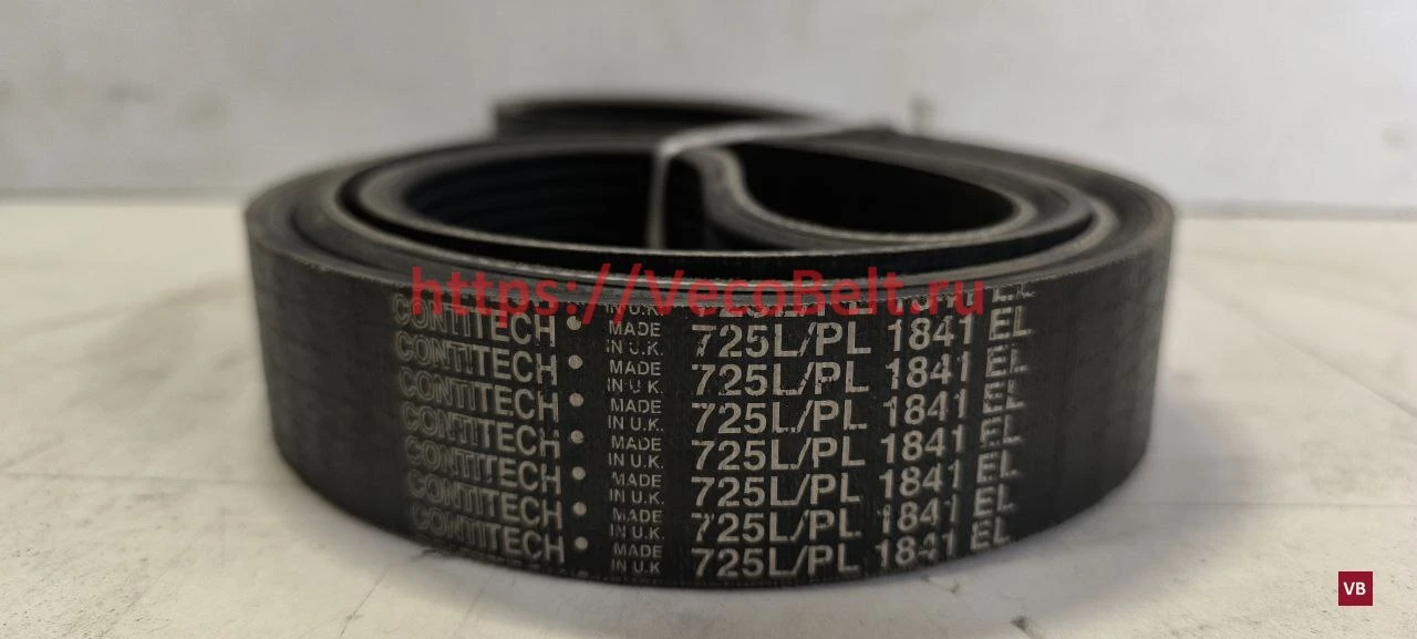pl 1841 / 725 l conti-v multirib