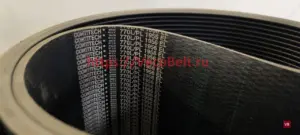 pl 1956 / 770 l conti-v multirib