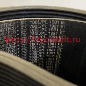 pl 1981 / 780 l conti-v multirib