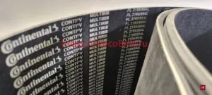 pl 2195 / 864 l conti-v multirib