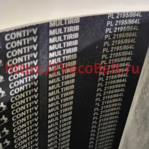 pl 2195 / 864 l conti-v multirib