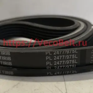 pl 2477 / 975 l conti-v multirib