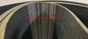 pl 3696 / 1455 l conti-v multirib