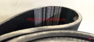 pl 4470 / 1760 l conti-v multirib