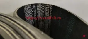 pl 5029 / 1980 l conti-v multirib