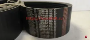 pm 4191 1650 m contitech multirib power