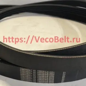 pm 5029 1980 m contitech multirib