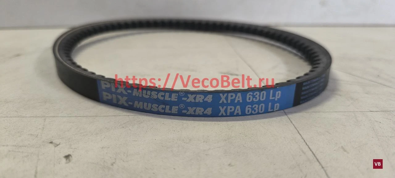 xpa 630 pix-muscle-xr4