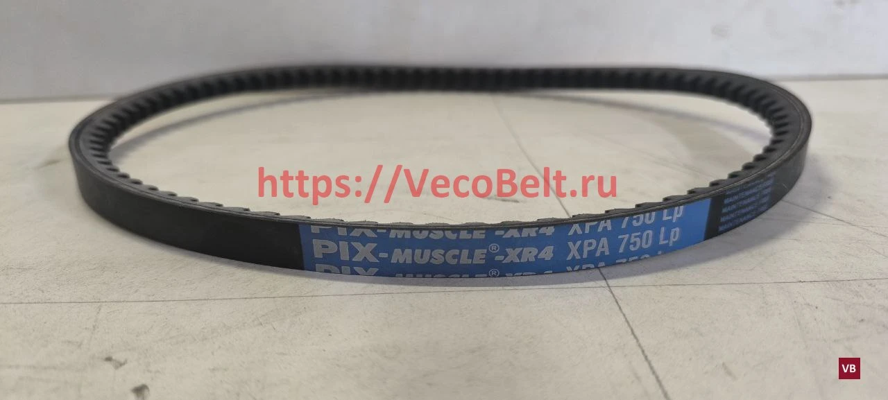xpa 750 pix-muscle-xr4