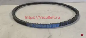 xpb 1175 pix-muscle-xr4