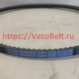 xpb 1175 pix-muscle-xr4