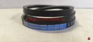 xpz 962 pix-muscle-xr4