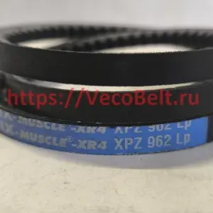 xpz 962 pix-muscle-xr4