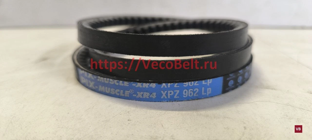 xpz 962 pix-muscle-xr4